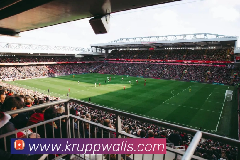 完美体育首页官网发展历程